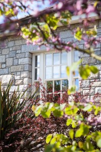 McNally Cream sliding sash windows - Iroko Teak | McNally Cream Finish | Weights and Cords | Shutters | Matching Overhead Panel | Individual Glass Panes; 6 over 6 | Traditional Satin Chrome Catches