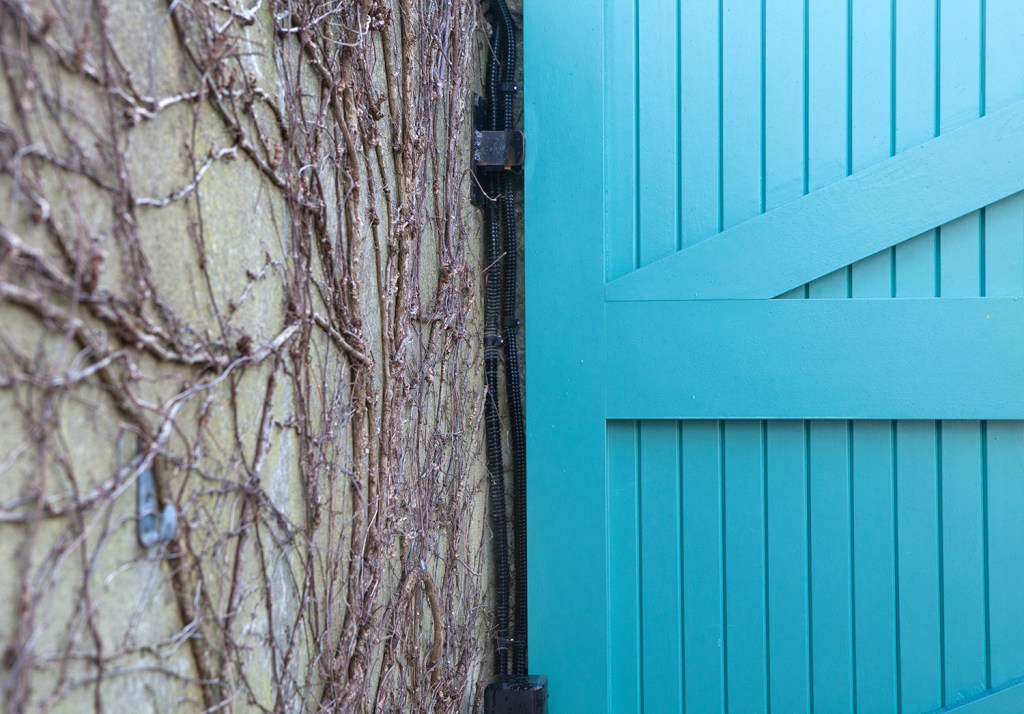 Dry vines growing up wall - mint turquoise gate