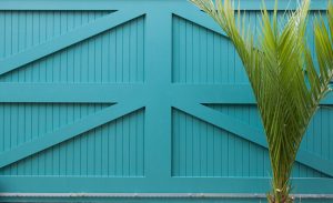 Sheeted turquoise gate with palm tree