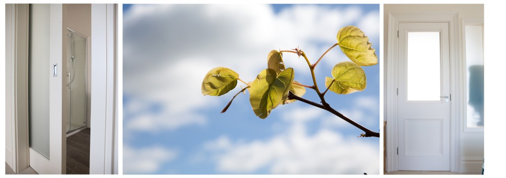Bathroom doors with sandblasted glass - Pocket Door | Panel Door