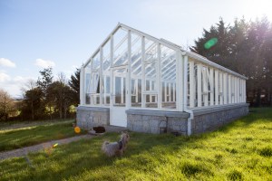 Glasshouse - stone half wall - small dog and cat in front - grass - gravel pathway - tree's in background
