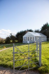 Glass house with white frame and grille - grass landscape view