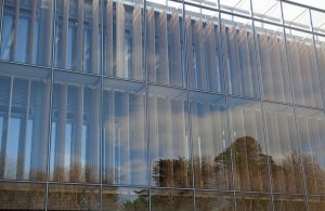 Glass wall windows with wooden details inside - small thin window grilles