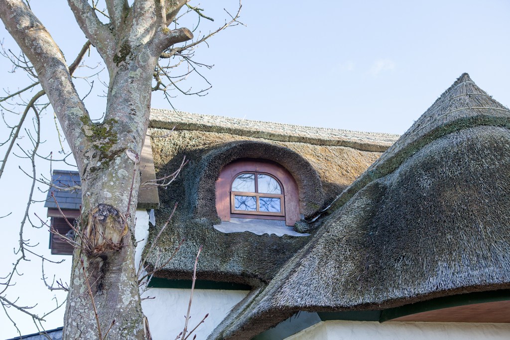 Tree in front of the house - thatched roof - curved window