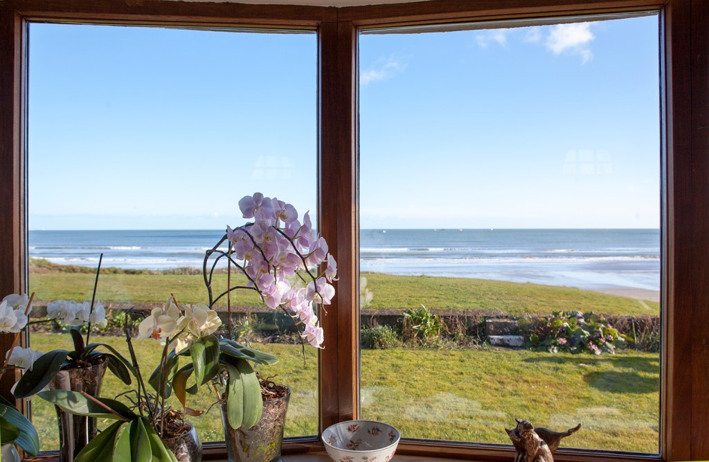 Orchids in the window sill - big glass clear windows - wooden window frame - view of a green grass landscape and the ocean