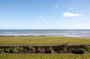 Ocean view - green grass landscape with a garden bed - - ocean - blue sky