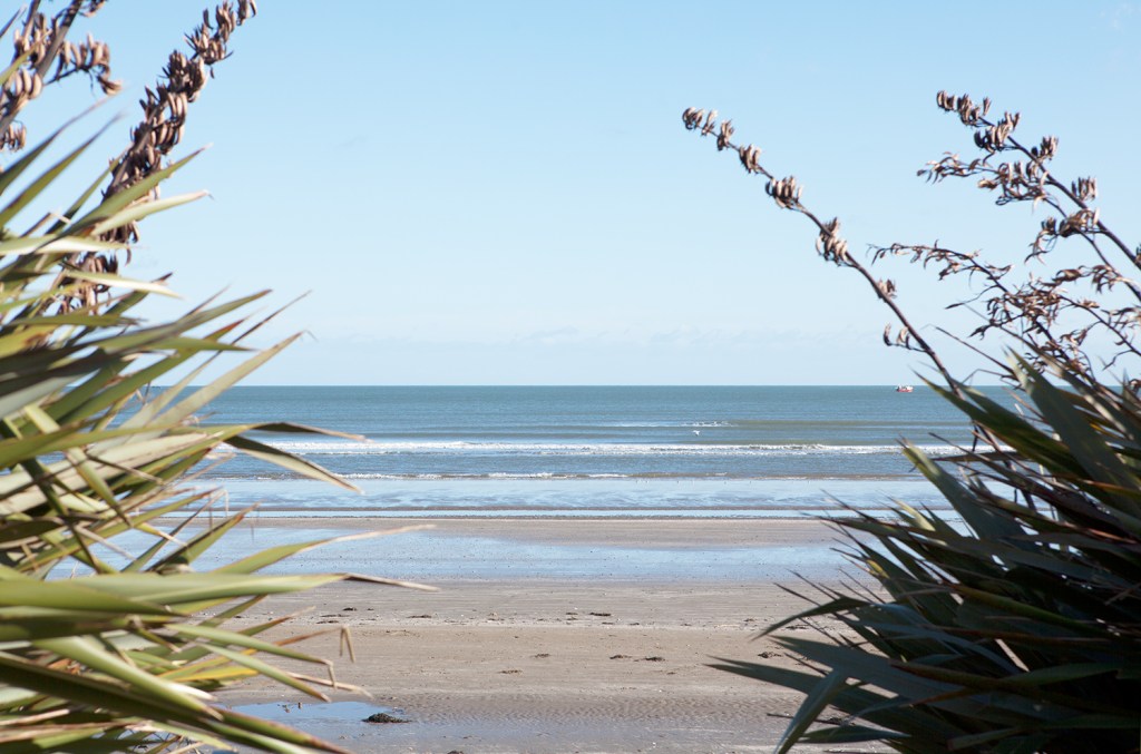 Ocean view between two bushes