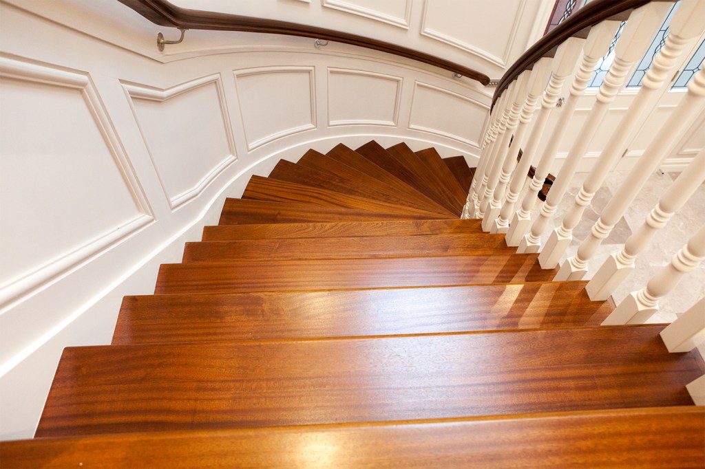 Wooden staircase going down - wooden stair tread - white wall panel - white wooden balustrades - dark wood handrail