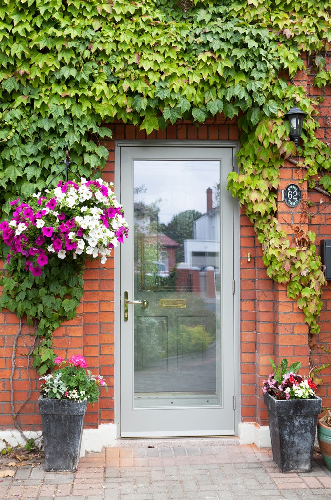 Vines growing above single glass door - pink and white flowers - grey door frame - transom