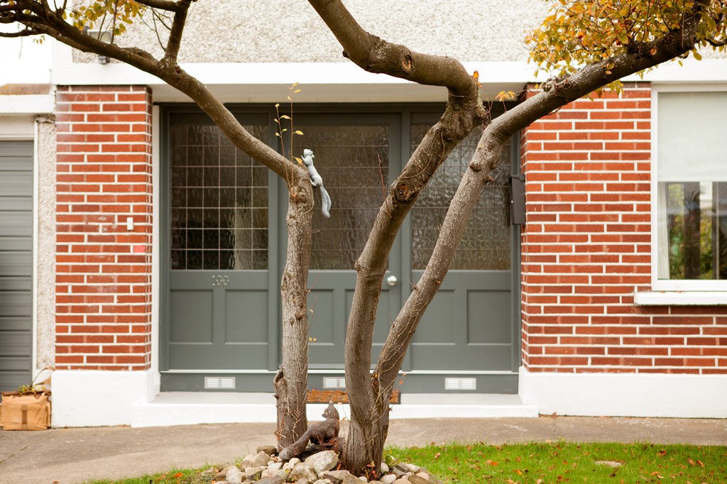 Tree - front yard - black doors - windows in door frame - window in door - red brick house
