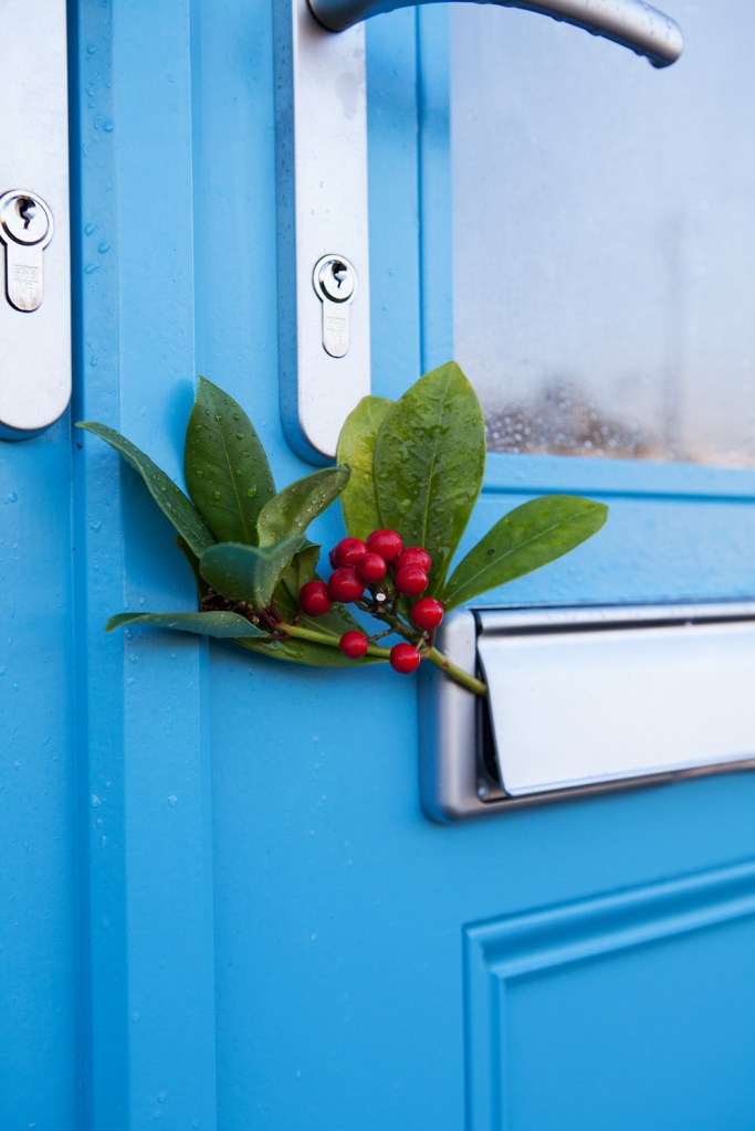 Mistletoe in mail slot - blue door with silver door handle and mail slot - red berries with green leafs