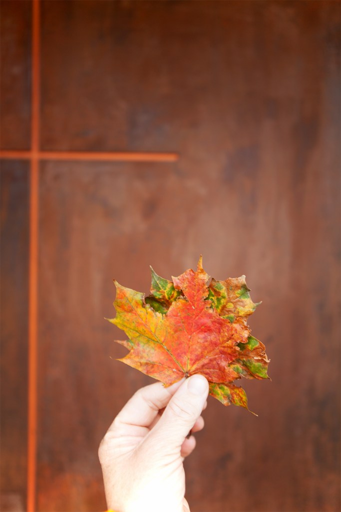 Hand holding leaves - orange leaves