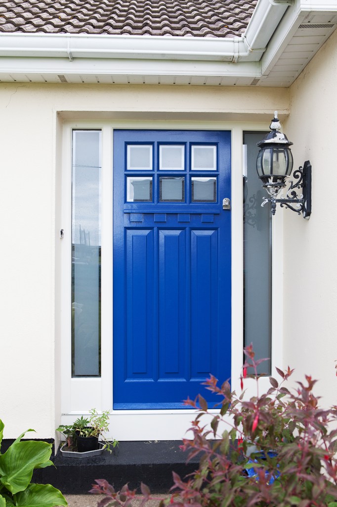 Single blue transom door with white frame and tall, thin windows on side of door - black step to door - red bush - black lantern light