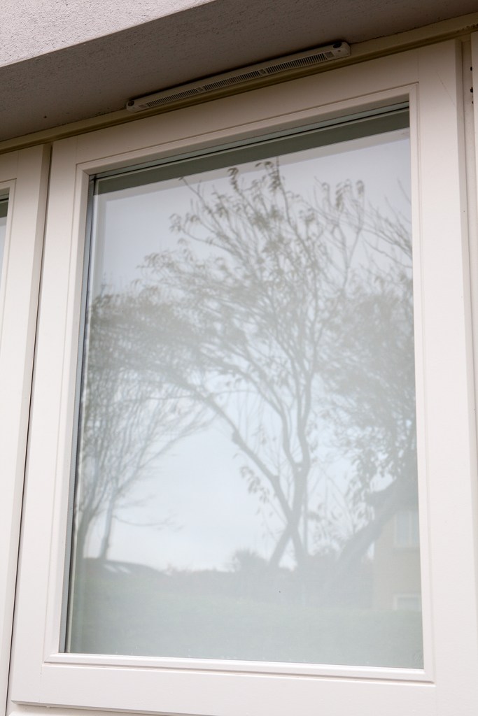 Closed white window - white window frame - frosted window - tree reflection - glass window