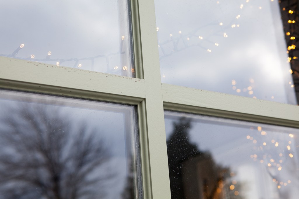 Christmas lights hanging inside the window = window with grilles and glass panes - tree reflection
