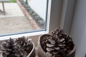 Pine cones stacked near window with a view of the backyard and garden bed - white window frame - gravel outside and a brick wall for garden bed